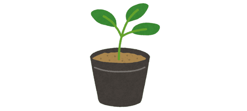 植物の苗のイラスト