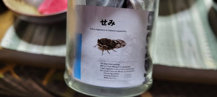 昆虫食（セミ）の瓶